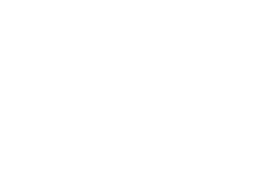 Ambaji Temple Outline